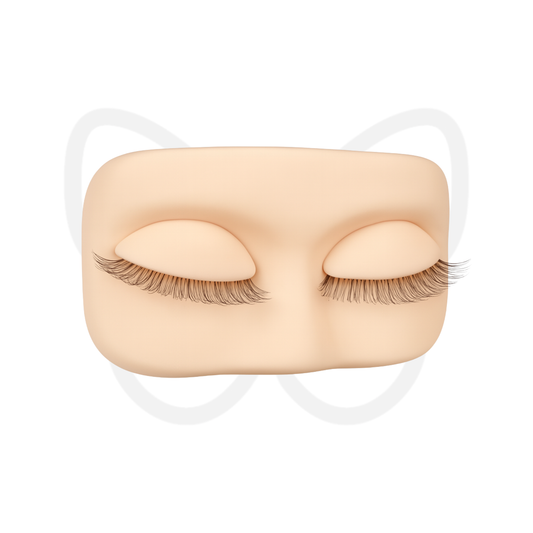 Modèle d’entraînement en silicone